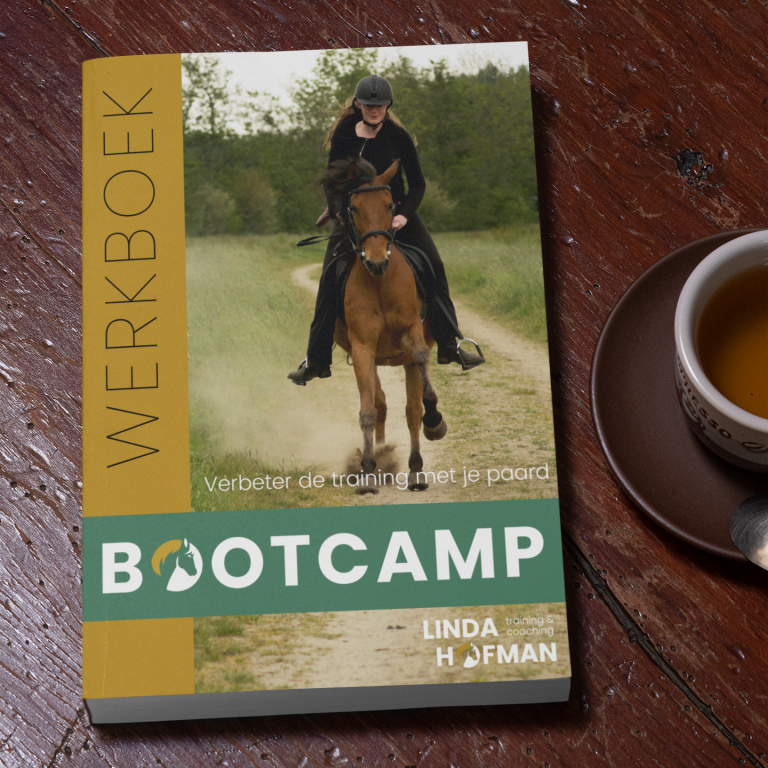 bootcamp verbeter je training