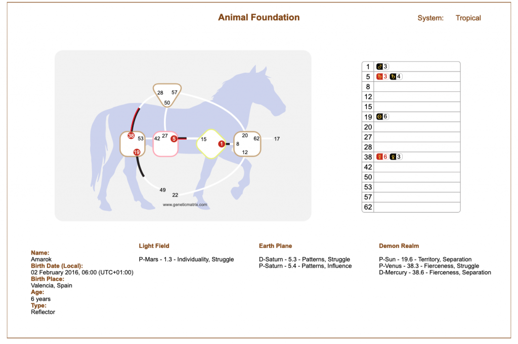 Animal Design chart paard als spiegel