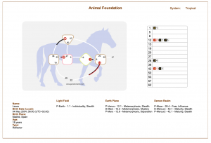 Animal Design chart paard als spiegel